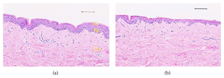 https://cdn.ncbi.nlm.nih.gov/pmc/blobs/d760/4515495/9d580a45cd47/BMRI2015-434623.004.jpg
