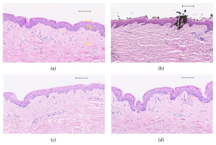 https://cdn.ncbi.nlm.nih.gov/pmc/blobs/d760/4515495/d10b3731ef7e/BMRI2015-434623.007.jpg