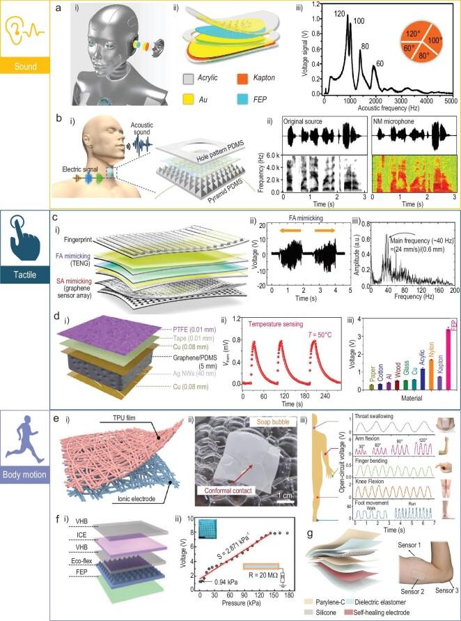 https://cdn.ncbi.nlm.nih.gov/pmc/blobs/d760/9843157/3ab7f7d9e59a/nwac170fig5.jpg