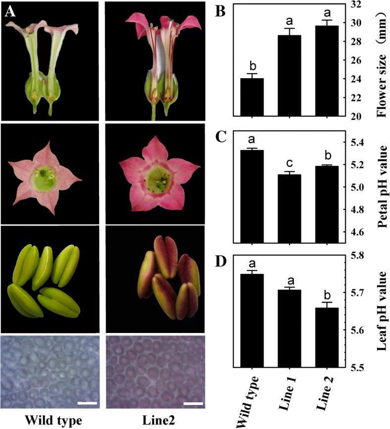 https://cdn.ncbi.nlm.nih.gov/pmc/blobs/d761/6367832/890c28362a6a/12870_2019_1658_Fig4_HTML.jpg
