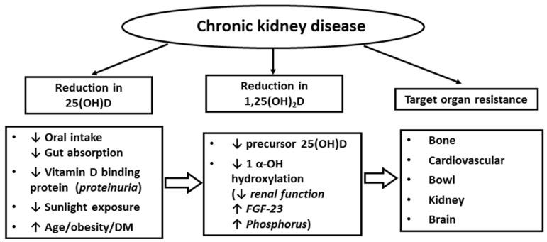 https://cdn.ncbi.nlm.nih.gov/pmc/blobs/d762/4882704/fd101a9ff5d5/nutrients-08-00291-g001.jpg