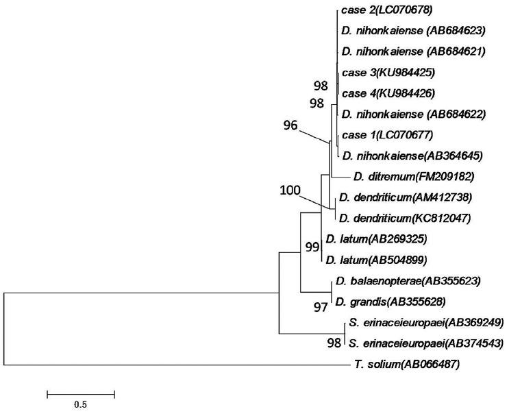 https://cdn.ncbi.nlm.nih.gov/pmc/blobs/d763/5523898/e3776c34a186/kjp-55-3-319f2.jpg