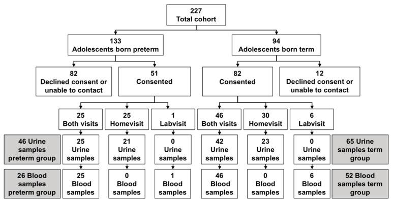 https://cdn.ncbi.nlm.nih.gov/pmc/blobs/d763/7552693/e087dcc00830/children-07-00141-g001.jpg
