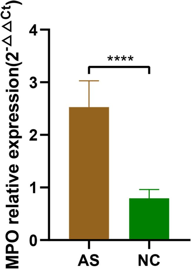 https://cdn.ncbi.nlm.nih.gov/pmc/blobs/d764/11871679/1812f9e044bd/12891_2025_8458_Fig1_HTML.jpg