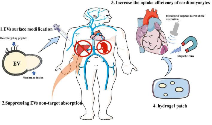 https://cdn.ncbi.nlm.nih.gov/pmc/blobs/d764/9871562/2b737e654876/fcvm-09-1041481-g001.jpg