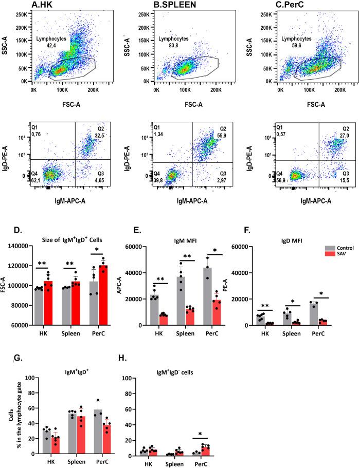 https://cdn.ncbi.nlm.nih.gov/pmc/blobs/d766/11649679/77d862b0981a/fimmu-15-1504836-g001.jpg