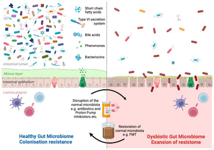 https://cdn.ncbi.nlm.nih.gov/pmc/blobs/d767/10204537/4f840a8b64fc/idr-15-00025-g001.jpg