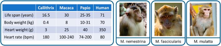 https://cdn.ncbi.nlm.nih.gov/pmc/blobs/d767/11221829/31b3d91448ab/fphar-15-1408679-g001.jpg