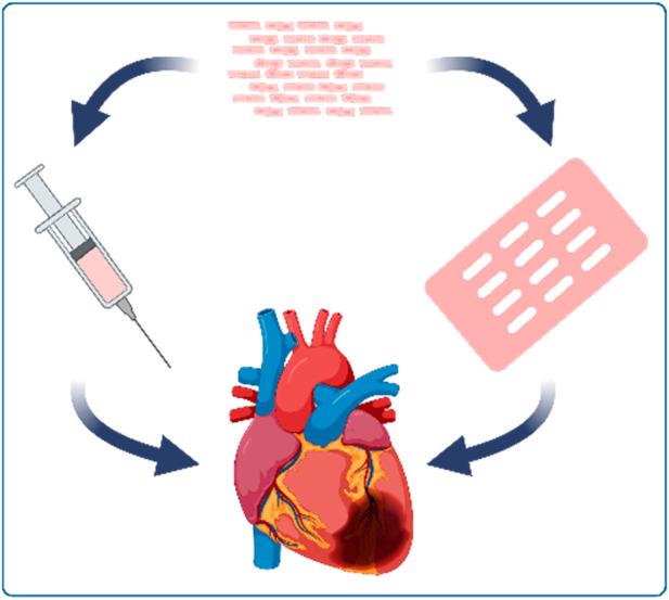 https://cdn.ncbi.nlm.nih.gov/pmc/blobs/d767/11221829/657eb2c330b8/fphar-15-1408679-g003.jpg