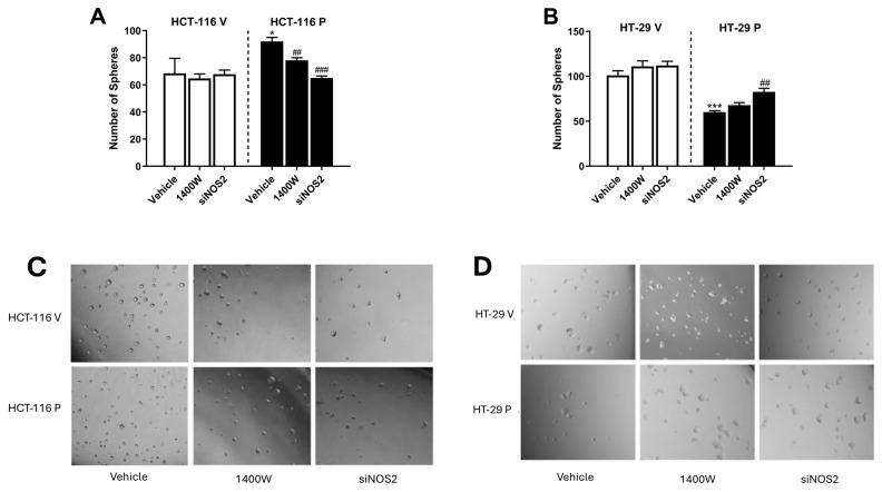 https://cdn.ncbi.nlm.nih.gov/pmc/blobs/d767/11763104/bedcf35e1e8d/biomolecules-15-00125-g009.jpg