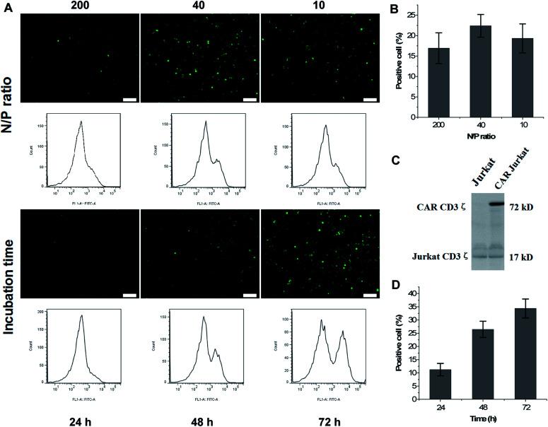 https://cdn.ncbi.nlm.nih.gov/pmc/blobs/d768/9080078/aa04a3f1b89c/c8ra02133c-f4.jpg