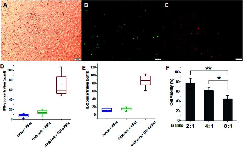https://cdn.ncbi.nlm.nih.gov/pmc/blobs/d768/9080078/ec81f9a5be26/c8ra02133c-f5.jpg