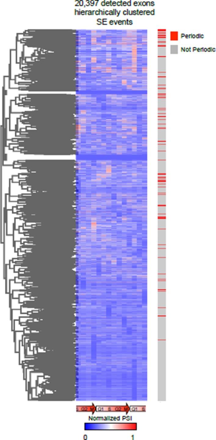 https://cdn.ncbi.nlm.nih.gov/pmc/blobs/d769/4884079/77ffdf93aea5/elife-10288-resp-fig5.jpg