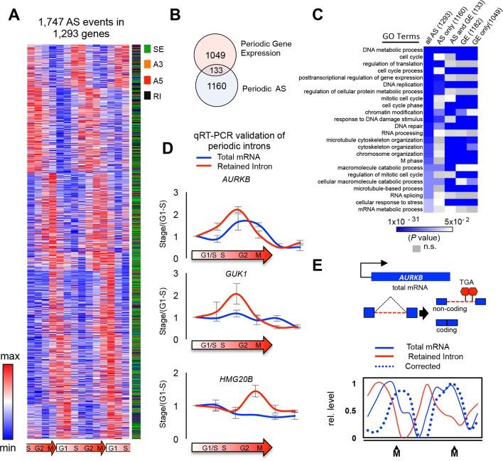 https://cdn.ncbi.nlm.nih.gov/pmc/blobs/d769/4884079/c49b48e67118/elife-10288-fig1.jpg