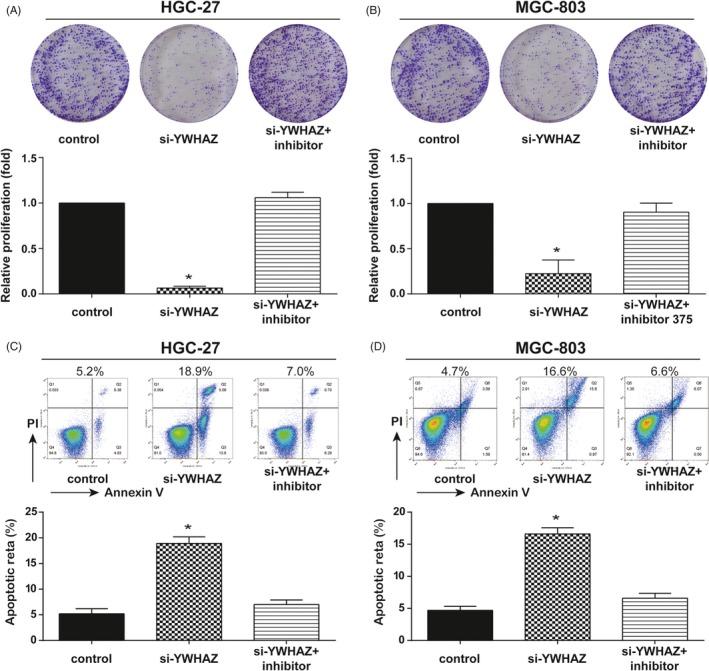 https://cdn.ncbi.nlm.nih.gov/pmc/blobs/d769/6668981/cceb3050bee0/CPR-52-e12648-g006.jpg