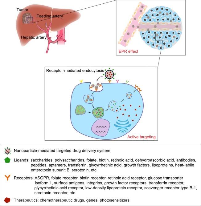 https://cdn.ncbi.nlm.nih.gov/pmc/blobs/d76a/5127222/964249dcaed1/ijn-11-5645Fig1.jpg