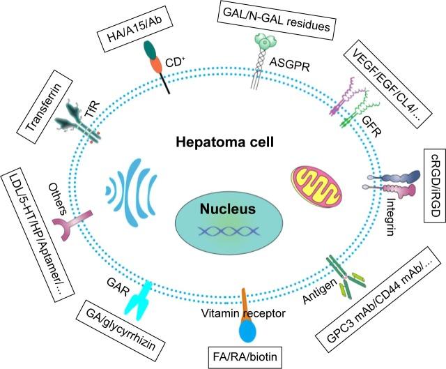 https://cdn.ncbi.nlm.nih.gov/pmc/blobs/d76a/5127222/e817d46654a1/ijn-11-5645Fig2.jpg