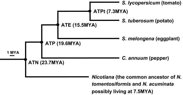 https://cdn.ncbi.nlm.nih.gov/pmc/blobs/d76d/2847972/2905fd82f609/1471-2164-11-182-1.jpg