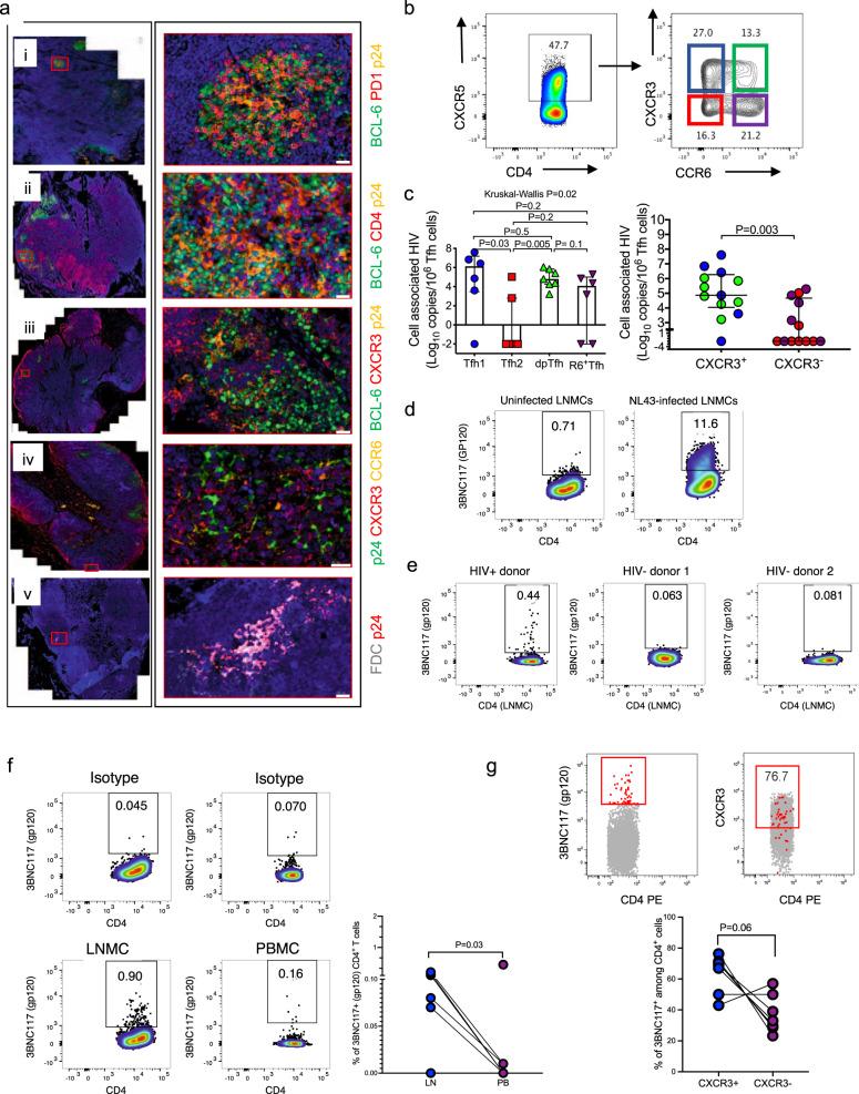https://cdn.ncbi.nlm.nih.gov/pmc/blobs/d76d/9279299/d0216013bd08/41467_2022_31692_Fig4_HTML.jpg