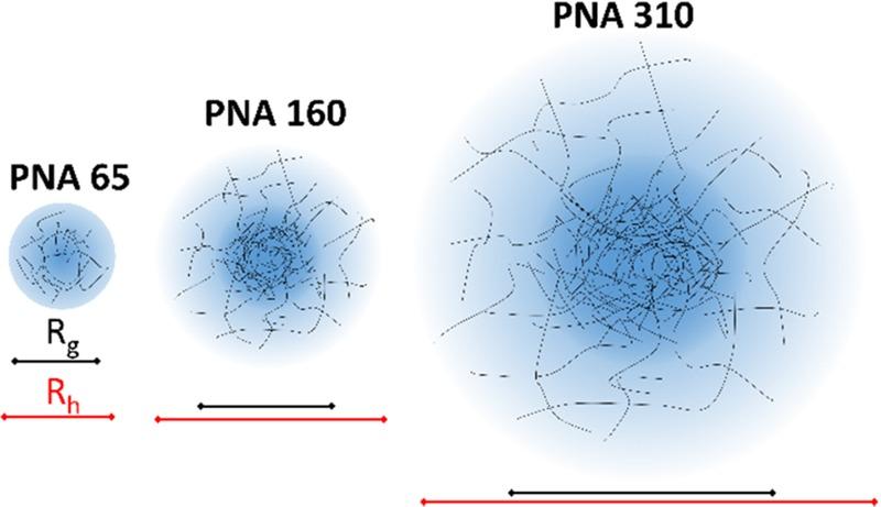 https://cdn.ncbi.nlm.nih.gov/pmc/blobs/d76e/7007235/5bd3efeb2e41/jp9b04051_0004.jpg
