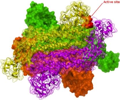 https://cdn.ncbi.nlm.nih.gov/pmc/blobs/d76f/3109261/ec93bb92e875/10545_2011_9294_Fig1_HTML.jpg