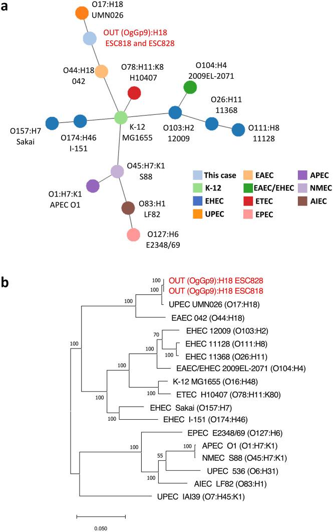 https://cdn.ncbi.nlm.nih.gov/pmc/blobs/d770/10540162/b629b460e82b/S0950268823001395_fig1.jpg