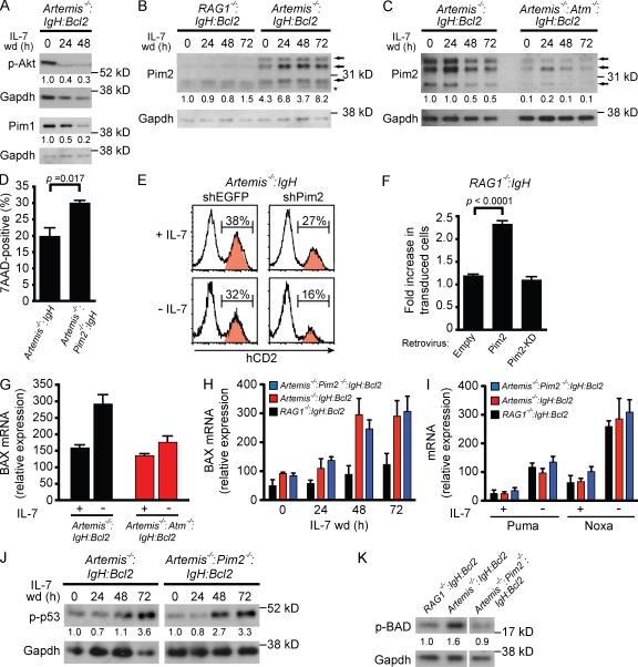 https://cdn.ncbi.nlm.nih.gov/pmc/blobs/d771/3260864/05915274d25a/JEM_20112078R_Fig3.jpg