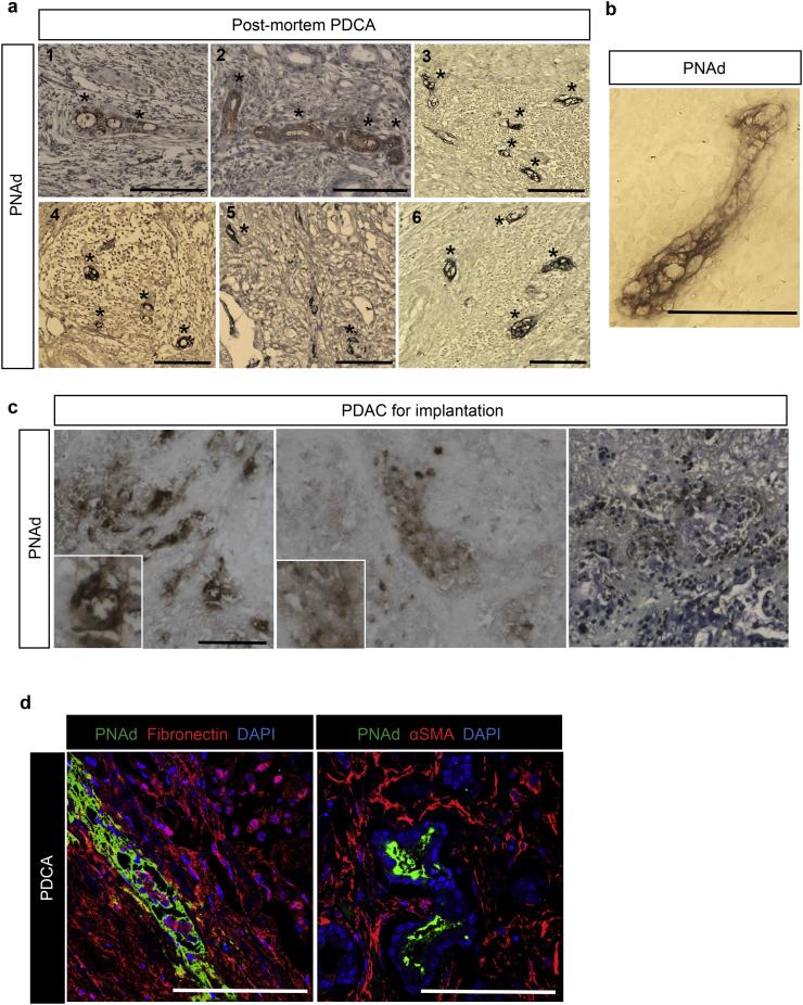 https://cdn.ncbi.nlm.nih.gov/pmc/blobs/d772/6306381/ea524f45af28/gr1.jpg