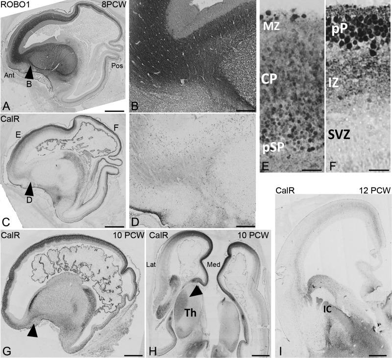 https://cdn.ncbi.nlm.nih.gov/pmc/blobs/d772/6418397/7c506b106b05/bhy327f05.jpg