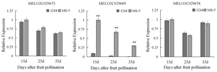 https://cdn.ncbi.nlm.nih.gov/pmc/blobs/d775/11430989/e707a3578e23/genes-15-01138-g005.jpg