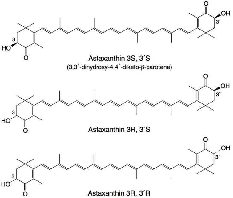 https://cdn.ncbi.nlm.nih.gov/pmc/blobs/d776/6268807/7e7f147f169e/molecules-17-02030-g001.jpg