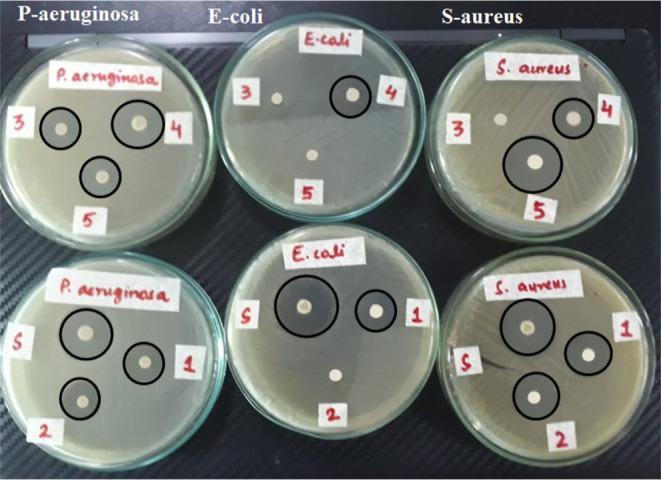 https://cdn.ncbi.nlm.nih.gov/pmc/blobs/d779/9893469/4cebd3c14103/ao2c05226_0009.jpg