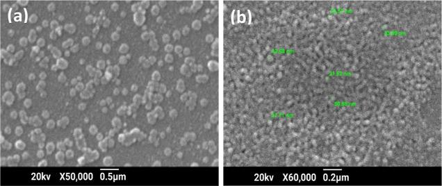 https://cdn.ncbi.nlm.nih.gov/pmc/blobs/d779/9893469/af4b419e1abf/ao2c05226_0007.jpg
