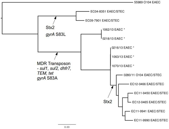 https://cdn.ncbi.nlm.nih.gov/pmc/blobs/d77a/4028294/401937d7af36/pone.0098103.g002.jpg