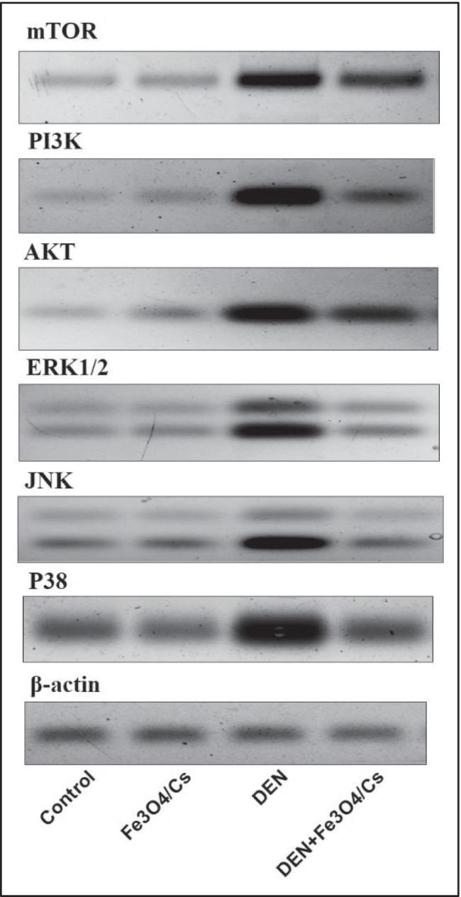 https://cdn.ncbi.nlm.nih.gov/pmc/blobs/d77a/9898336/550329fc2980/12011_2022_3221_Fig3_HTML.jpg