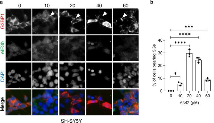 https://cdn.ncbi.nlm.nih.gov/pmc/blobs/d77b/11836309/0d6285d072a1/41598_2025_88380_Fig1_HTML.jpg