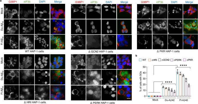 https://cdn.ncbi.nlm.nih.gov/pmc/blobs/d77b/11836309/fcc60644c9d0/41598_2025_88380_Fig6_HTML.jpg