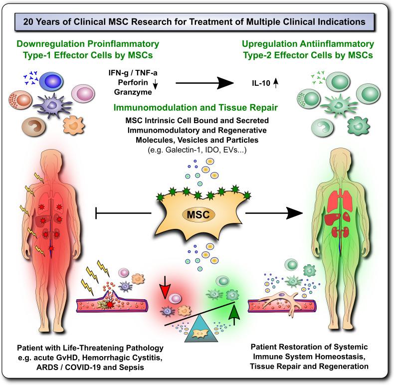 https://cdn.ncbi.nlm.nih.gov/pmc/blobs/d77c/8973075/bd5fc7601be9/fimmu-13-839844-g001.jpg
