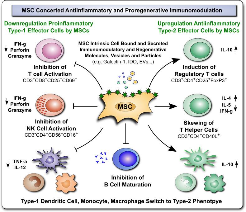https://cdn.ncbi.nlm.nih.gov/pmc/blobs/d77c/8973075/c0fd3c9ef244/fimmu-13-839844-g002.jpg