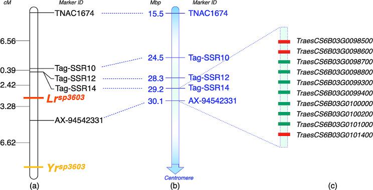 https://cdn.ncbi.nlm.nih.gov/pmc/blobs/d77d/11247808/46e0c931084d/12863_2024_1247_Fig4_HTML.jpg