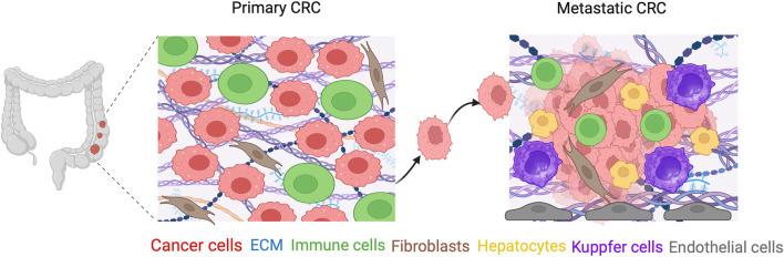 https://cdn.ncbi.nlm.nih.gov/pmc/blobs/d77d/12078225/28341b9e23bd/fgene-16-1545017-g003.jpg