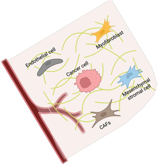 https://cdn.ncbi.nlm.nih.gov/pmc/blobs/d77d/12078225/c73fbb7668ca/fgene-16-1545017-g004.jpg