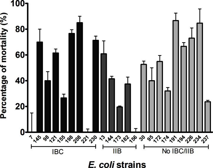 https://cdn.ncbi.nlm.nih.gov/pmc/blobs/d77e/7609437/3fce471c931b/fcimb-10-542755-g003.jpg
