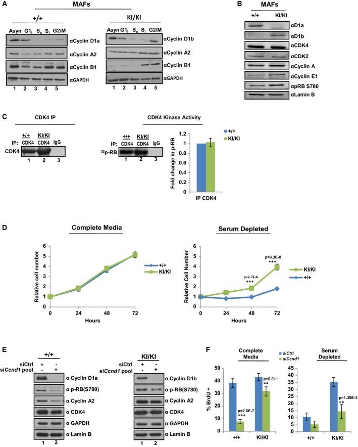 https://cdn.ncbi.nlm.nih.gov/pmc/blobs/d77f/4492821/f290655d3751/emmm0007-0628-f5.jpg