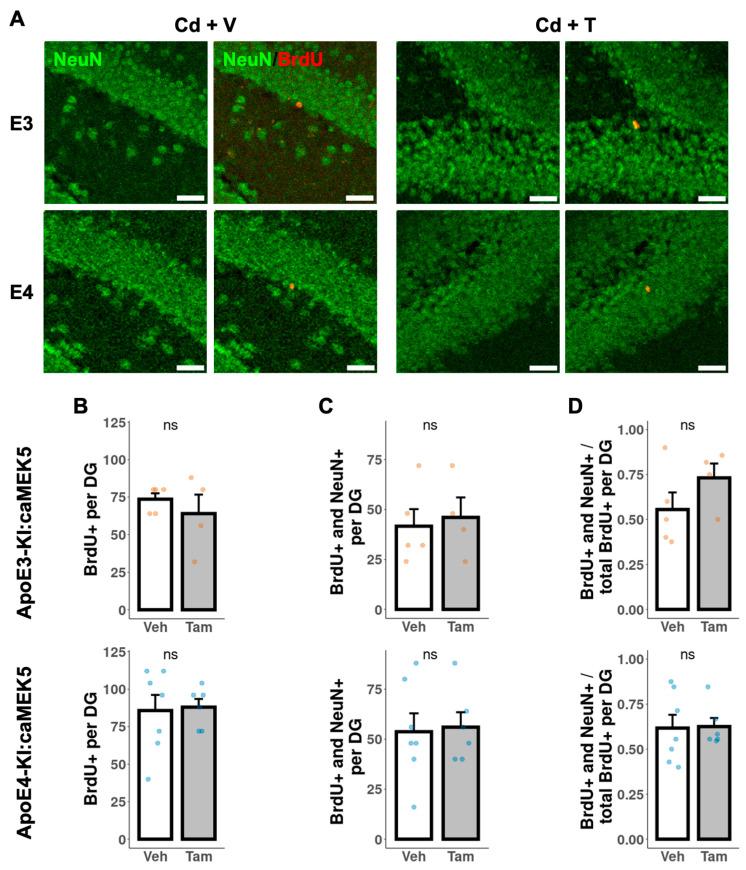 https://cdn.ncbi.nlm.nih.gov/pmc/blobs/d785/10253189/f93ee1193b8f/ijms-24-09118-g007.jpg