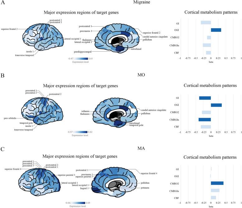 https://cdn.ncbi.nlm.nih.gov/pmc/blobs/d786/11389401/bd465a37ba26/10194_2024_1853_Fig3_HTML.jpg