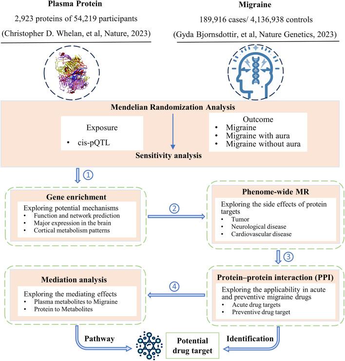 https://cdn.ncbi.nlm.nih.gov/pmc/blobs/d786/11389401/ef99650c3f34/10194_2024_1853_Fig1_HTML.jpg