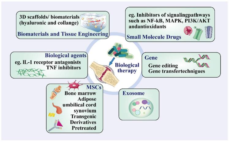 https://cdn.ncbi.nlm.nih.gov/pmc/blobs/d787/11677281/e4ff5060b72b/ijms-25-13384-g002.jpg