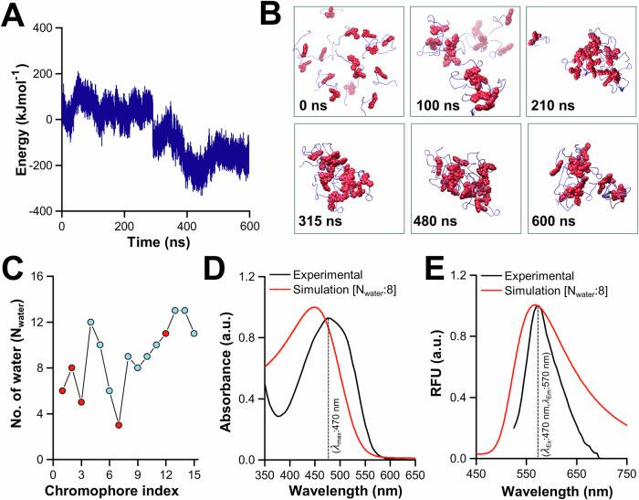 https://cdn.ncbi.nlm.nih.gov/pmc/blobs/d788/12405509/98ae54e47923/42003_2025_8779_Fig4_HTML.jpg