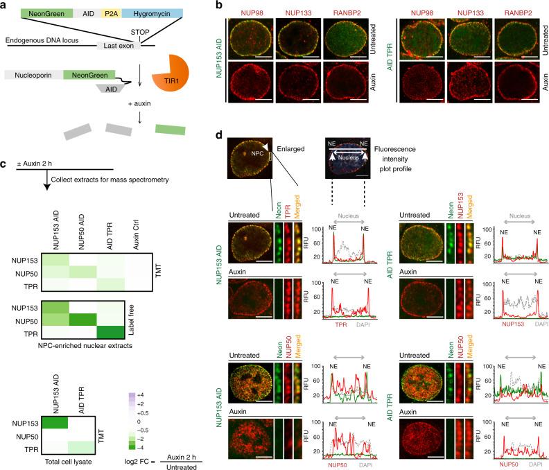 https://cdn.ncbi.nlm.nih.gov/pmc/blobs/d789/7486939/7ae077445a96/41467_2020_18266_Fig1_HTML.jpg